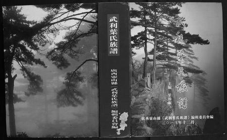 广西叶氏-武利叶氏族谱[不分卷].pdf电子版插图