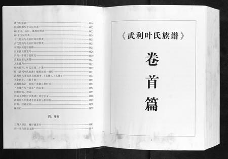 广西叶氏-武利叶氏族谱[不分卷].pdf电子版插图4