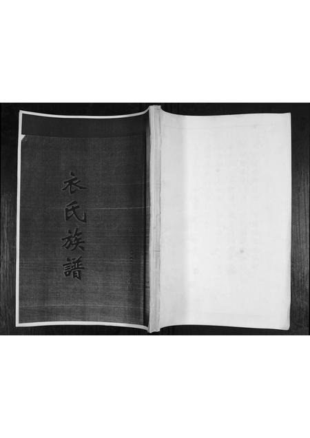 山东衣氏-衣氏族谱.pdf电子版插图