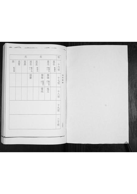 山东衣氏-衣氏族谱.pdf电子版插图1