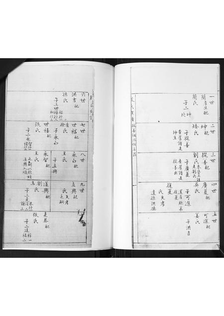 山东殷氏-殷氏族谱[不分卷].pdf电子版插图4