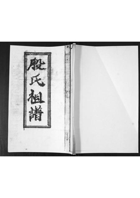 山东殷氏-殷氏祖谱[不分卷].pdf电子版插图