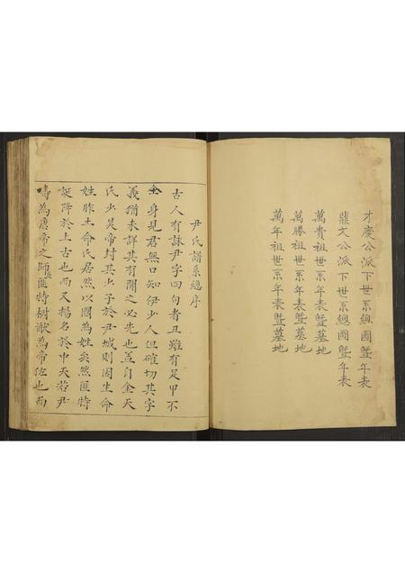 四川尹氏-[尹氏谱系].pdf电子版插图2