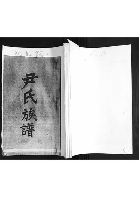 山东尹氏-尹氏族谱.pdf电子版插图