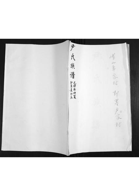山东尹氏-尹氏族谱.pdf电子版插图