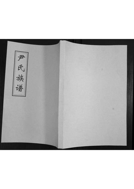 山东尹氏-尹氏族谱.pdf电子版插图