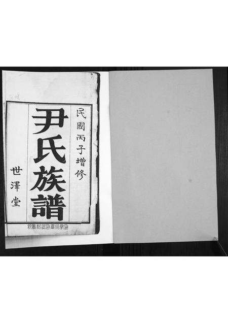 山东尹氏-尹氏族谱.pdf电子版插图1