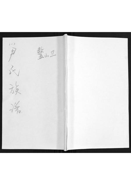 山东尹氏-尹氏族谱.pdf电子版插图