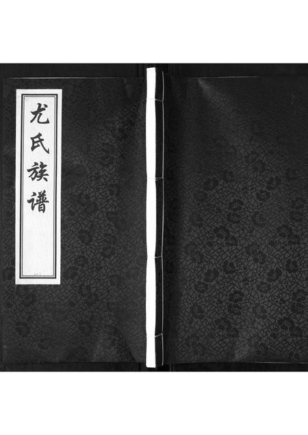山东尤氏-尤氏族谱[不分卷].pdf电子版插图