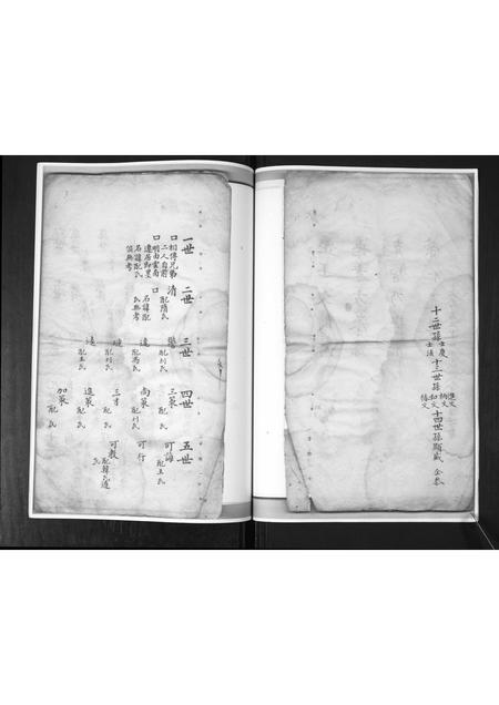 山东尤氏-尤氏族谱[不分卷].pdf电子版插图4
