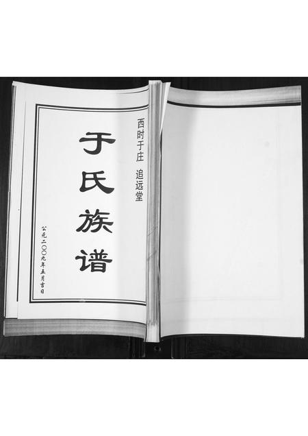 山东于氏-于氏族谱.pdf电子版插图