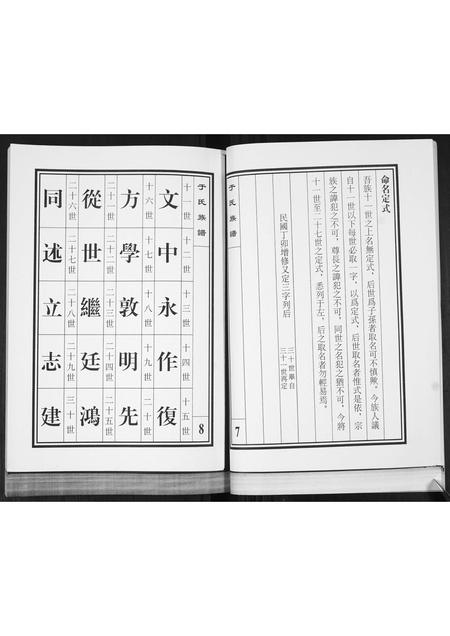山东于氏-于氏族谱.pdf电子版插图5