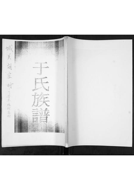 山东于氏-于氏族谱.pdf电子版插图