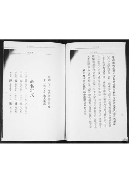 山东于氏-于氏族谱.pdf电子版插图3