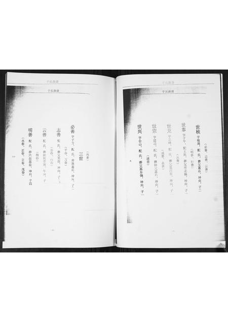 山东于氏-于氏族谱.pdf电子版插图5