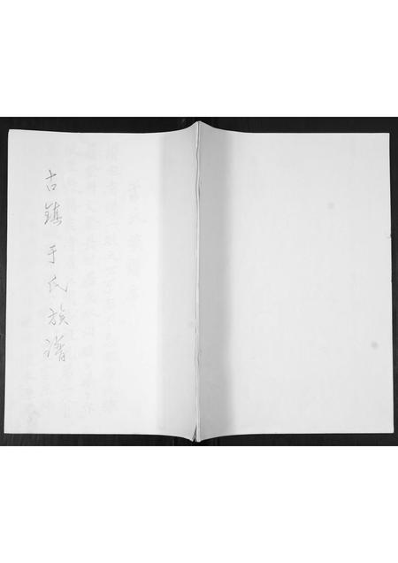 山东于氏-于氏族谱.pdf电子版插图