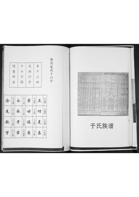 山东于氏-于氏族谱.pdf电子版插图2