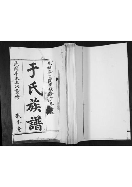 山东于氏-于氏族谱.pdf电子版插图