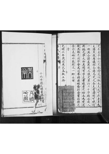 山东于氏-于氏族谱.pdf电子版插图3