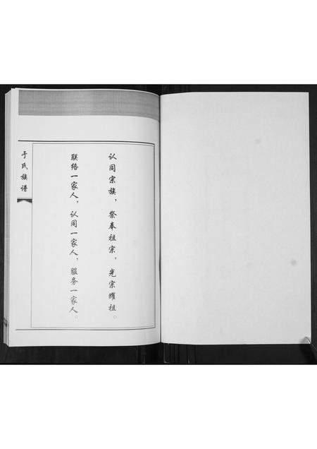 山东于氏-于氏族谱.pdf电子版插图1