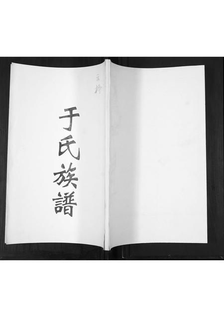 山东于氏-于氏族谱.pdf电子版插图