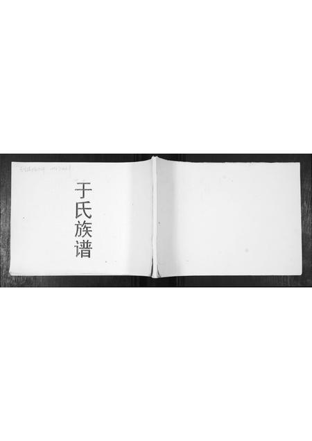 山东于氏-于氏族谱.pdf电子版插图