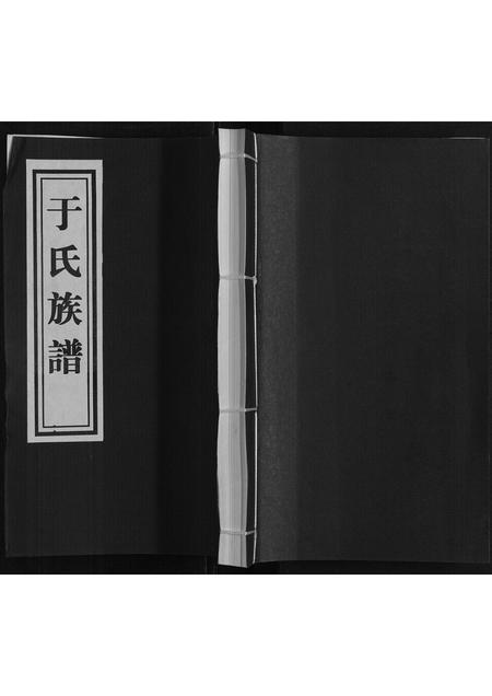 山东于氏-于氏族谱.pdf电子版插图