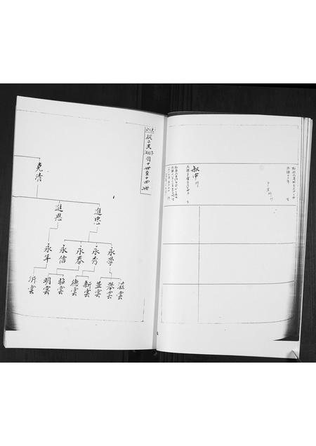 山东于氏-于氏族谱[2卷].pdf电子版插图3
