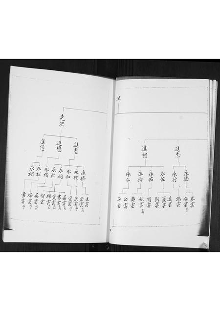 山东于氏-于氏族谱[2卷].pdf电子版插图4