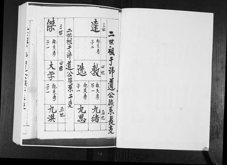 山东于氏-东瓦戈庄于氏族谱.pdf电子版插图2
