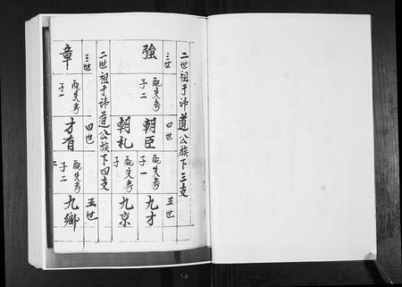 山东于氏-东瓦戈庄于氏族谱.pdf电子版插图3