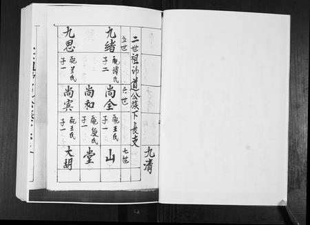 山东于氏-东瓦戈庄于氏族谱.pdf电子版插图4