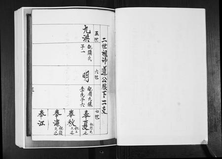 山东于氏-东瓦戈庄于氏族谱.pdf电子版插图5