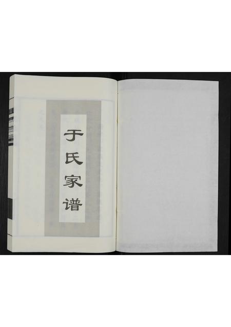 河北于氏-于氏家谱(别名：于氏族谱).pdf电子版插图1