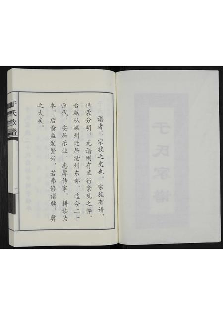 河北于氏-于氏家谱(别名：于氏族谱).pdf电子版插图2