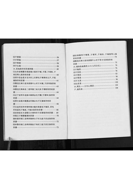 辽宁于氏-于德水后裔宗谱考记.pdf电子版插图2
