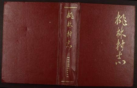 山东于氏张氏-[于氏][张氏]桃林村志.pdf电子版插图