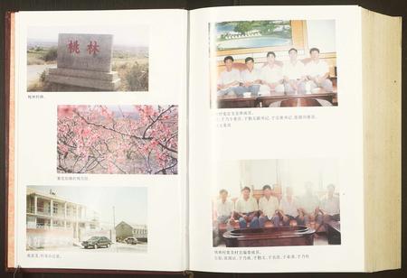 山东于氏张氏-[于氏][张氏]桃林村志.pdf电子版插图3