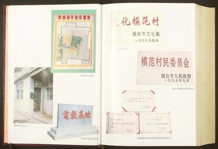 山东于氏张氏-[于氏][张氏]桃林村志.pdf电子版插图4