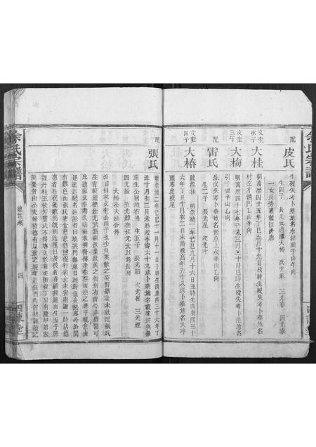 广西余氏-余氏宗谱[不分卷].pdf电子版插图4