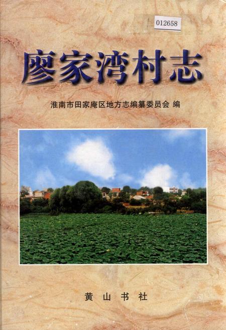 《廖家湾村志》.pdf电子版_安徽省志插图