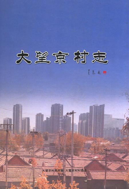 《大望京村志》.pdf电子版_北京市志插图