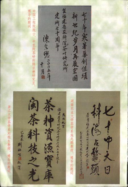 《福建省农业科学院茶叶研究所 所志》.pdf电子版_福建省志插图4