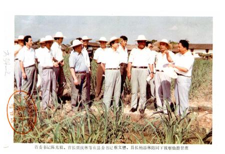 《仙游农业志》.pdf电子版_福建省志插图1