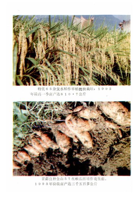 《仙游农业志》.pdf电子版_福建省志插图3