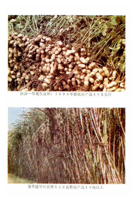 《仙游农业志》.pdf电子版_福建省志插图4