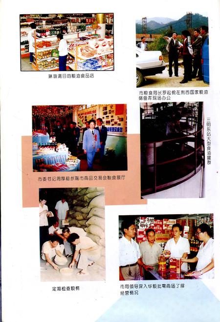 《三明市粮食志》.pdf电子版_福建省志插图4