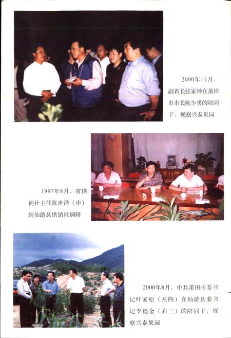 《仙游县供销合作社志》.pdf电子版_福建省志插图4 《仙游县供销合作社志》.pdf电子版_福建省志插图4