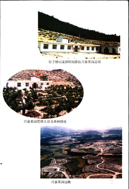 《仙游县供销合作社志》.pdf电子版_福建省志插图5 《仙游县供销合作社志》.pdf电子版_福建省志插图5