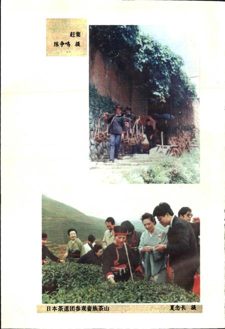 《福安畲族志》.pdf电子版_福建省志插图5 《福安畲族志》.pdf电子版_福建省志插图5